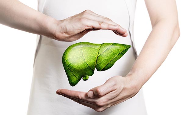 Liver Complex Liver Complex