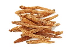 Ginseng Ginseng