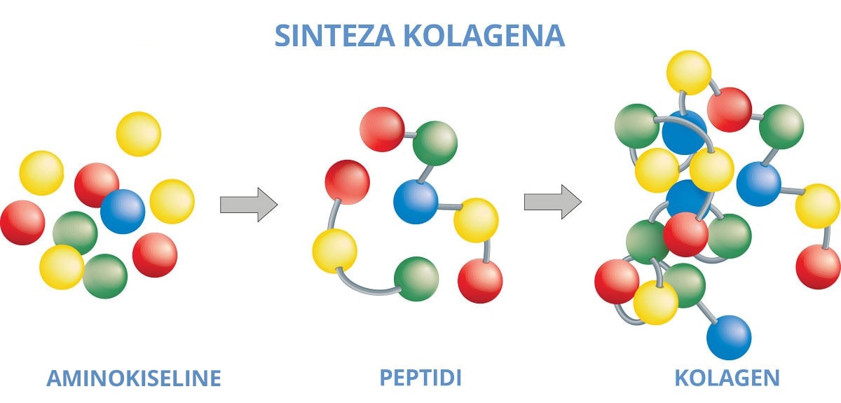 Sinteza i peptidi kolagena