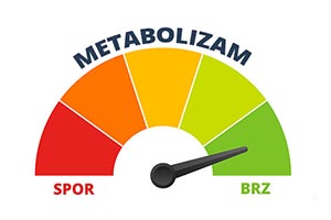 metabolizem